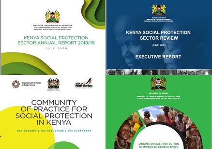 Knowledge Management System Social Protection
